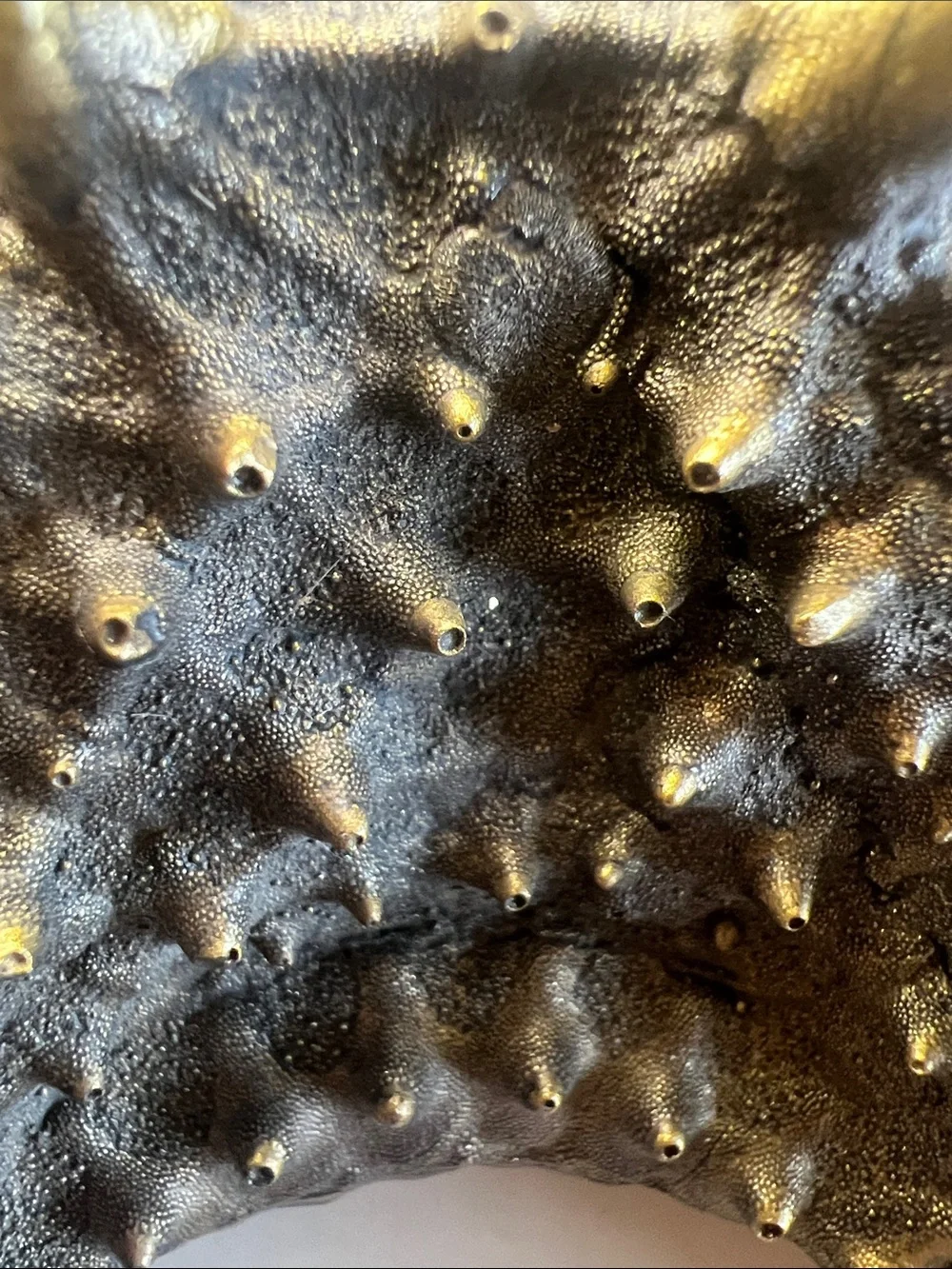 Vintage Gold Starfish Wall Decor Hanging Sculpture Large 3D Coastal Accent